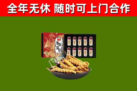 蓬安县回收冬虫夏草价格